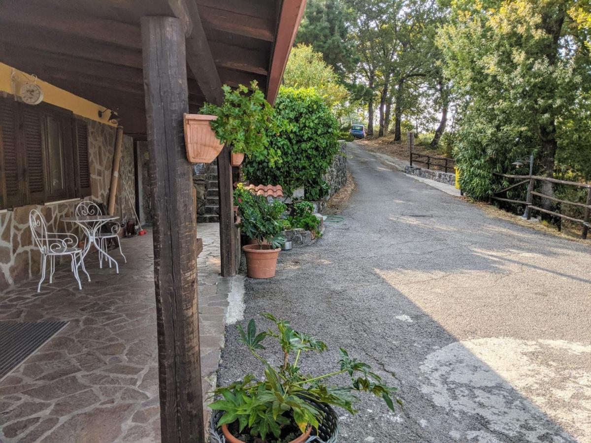 Il Rifugio Del Contadino Art & Nature Bosco  Extérieur photo